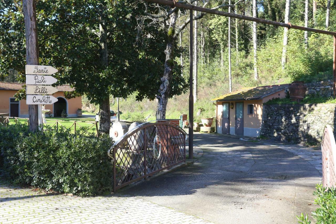 Molino Del Rotone Vendégház Buti Kültér fotó
