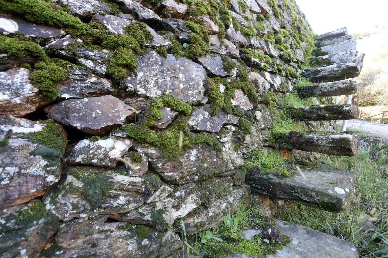 Molino Del Rotone Vendégház Buti Kültér fotó